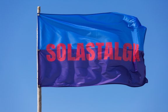 Swaantje Güntzel, New Adventures in Vexillology #7. Photo: Sandra Hermannsen